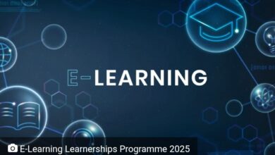 E-learning Learnership